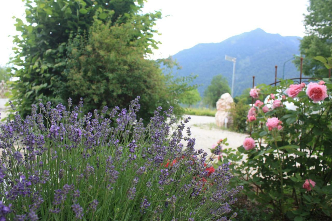 Bed and Breakfast Landlust Ischl Bad Ischl Zewnętrze zdjęcie